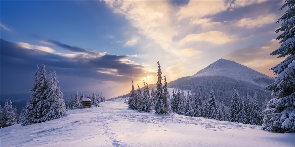 日出时的雪山和雪松林高清摄影图