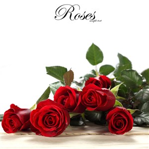 唯美红玫瑰花束鲜花图片
