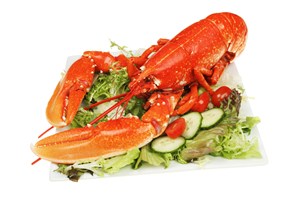 蔬菜上的鲜红大龙虾图片