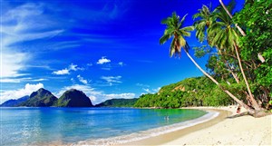 唯美海边沙滩椰树高清风景图片