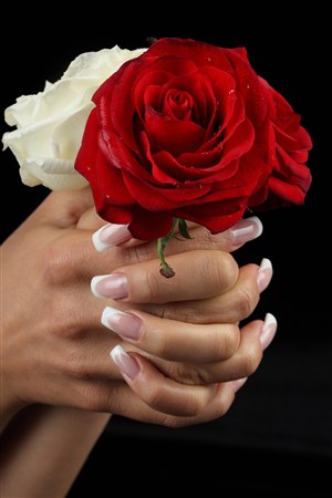 手握玫瑰花高清摄影图片