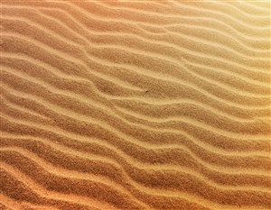 波浪金色金属沙漠图片