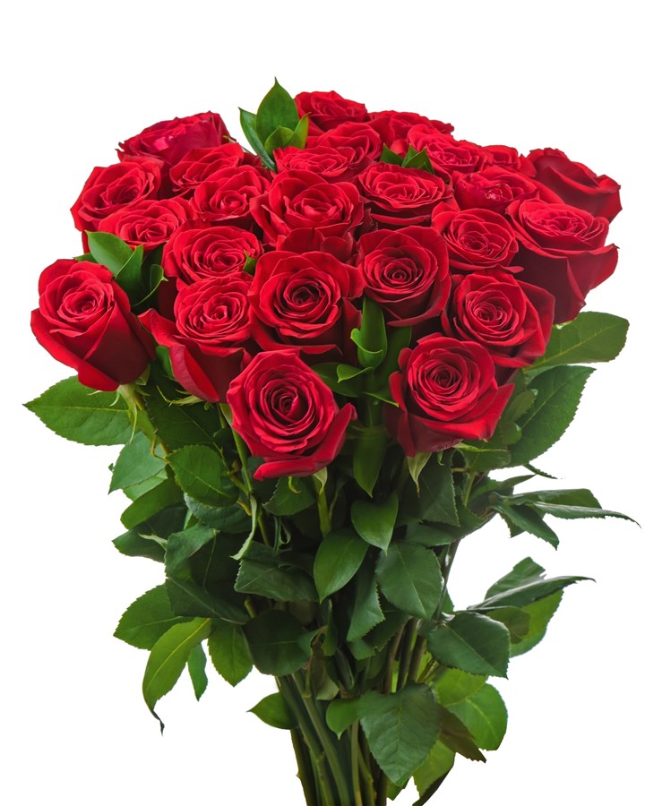 高清红玫瑰花束鲜花图片