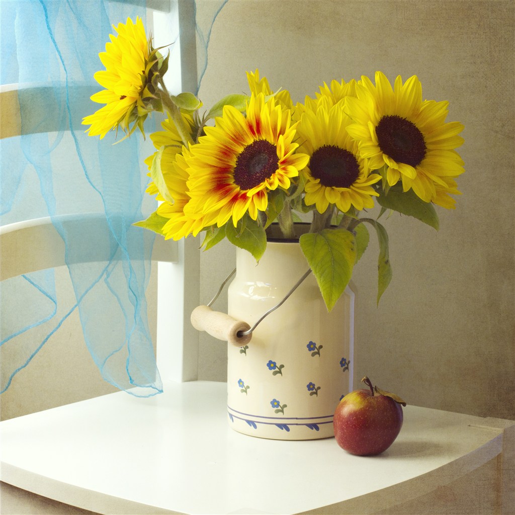 花瓶里向日葵鲜花图片