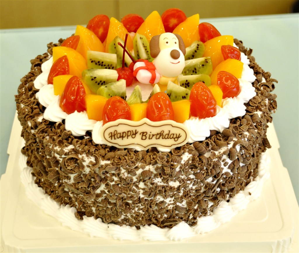 快乐生日巧克力蛋糕图片