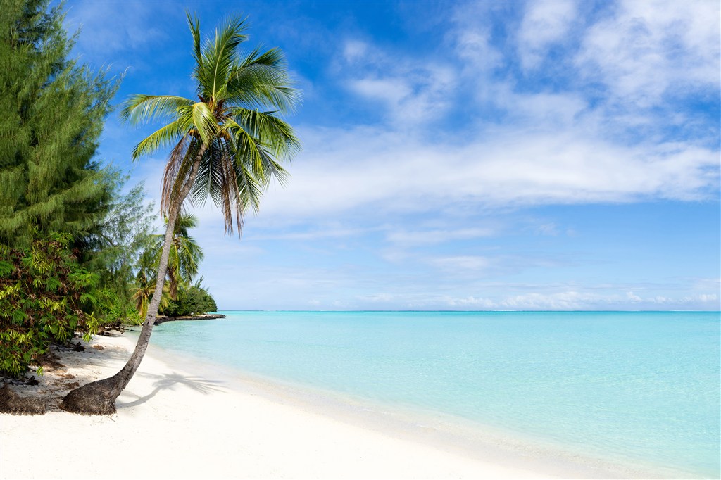高清唯美海边沙滩椰树风景图片