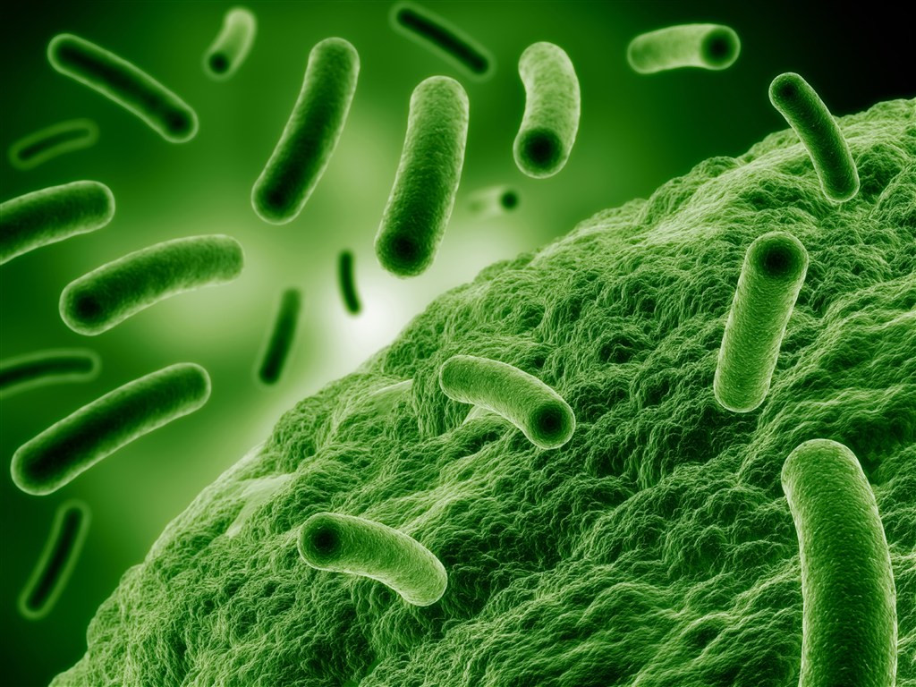 绿色柱状物细菌高清图片_蛙客网viwik.com
