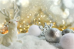 白色的麋鹿圣诞节节日背景 