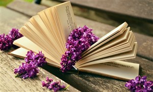 紫色教育清新紫色花和书本学校