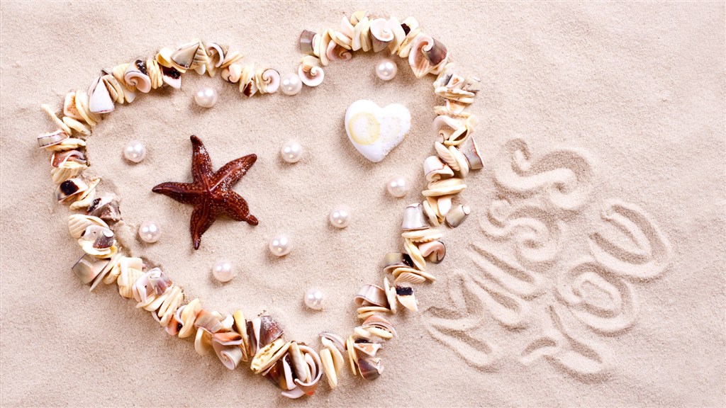 黄白情感浪漫沙滩上贝壳装饰心形和符号爱情表白