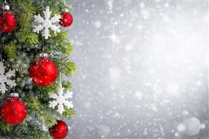 纷飞的雪花和圣诞树高清图片
