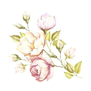 一支粉色手绘花朵背景高清图片