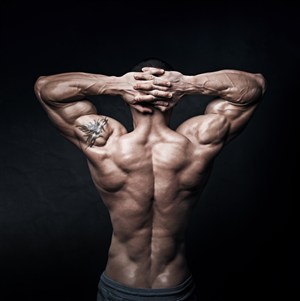 全身肌肉的男性背部高清摄影图