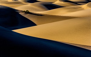 广袤无垠的黄色沙漠高清摄影图