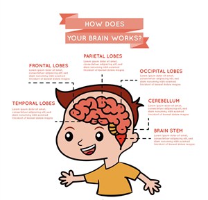 创意男孩大脑运作信息图矢量素材