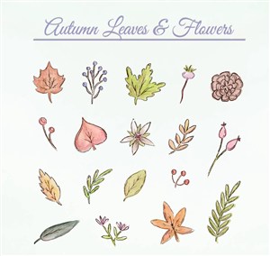 18款彩绘秋季叶子和花朵矢量素材