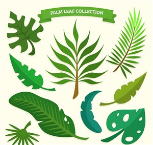 9款绿色棕榈树叶设计矢量图