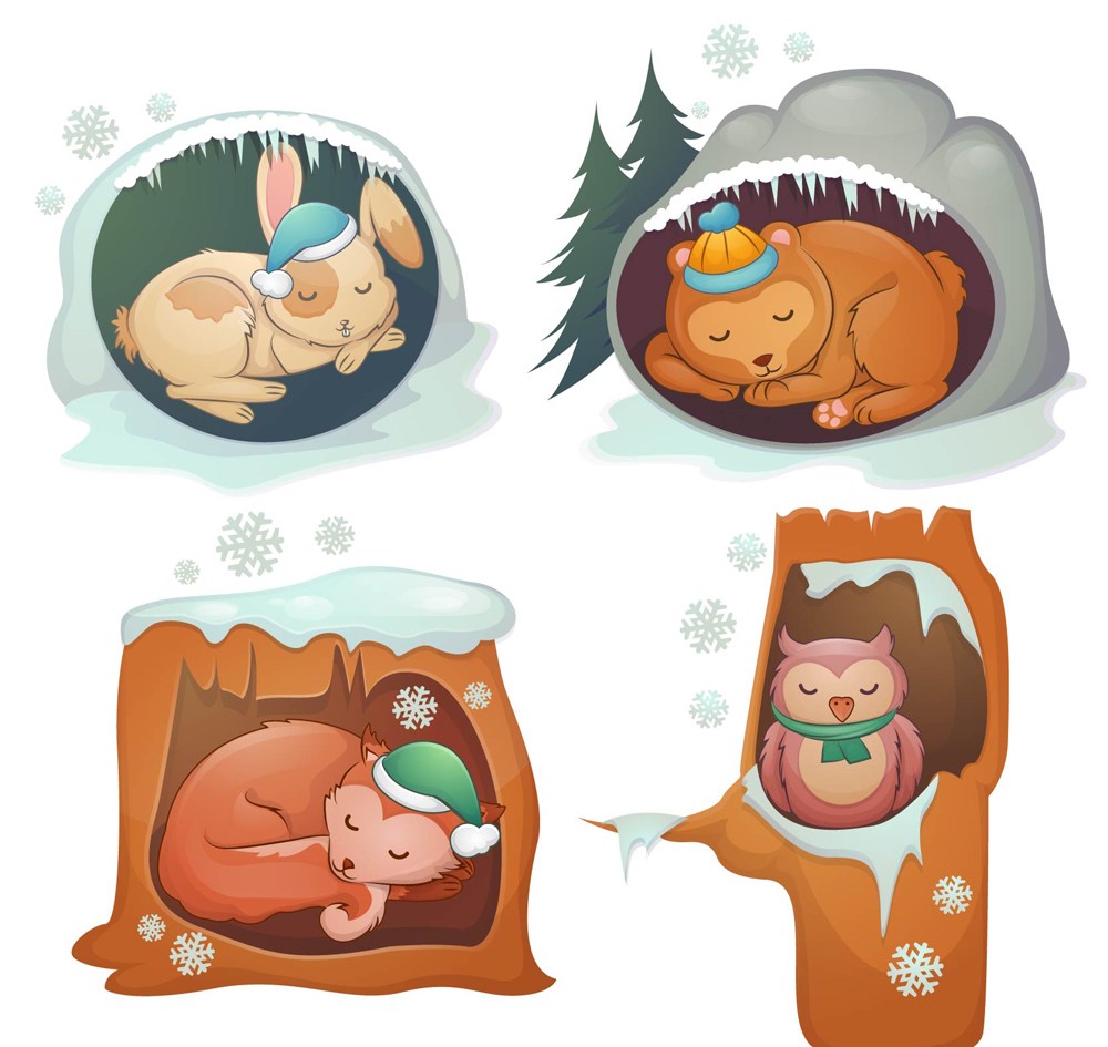 4款卡通冬眠动物矢量素材 