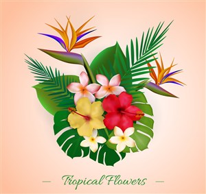彩色热带植物花束矢量素材