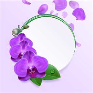 唯美紫色兰花花瓣元素