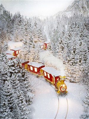 从松树林中穿过的圣诞火车 