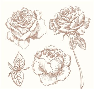 3款手绘玫瑰花矢量素材
