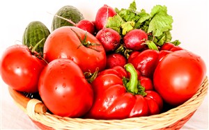 新鲜西红柿青椒蔬菜图片