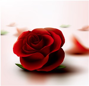 质感红玫瑰花矢量素材