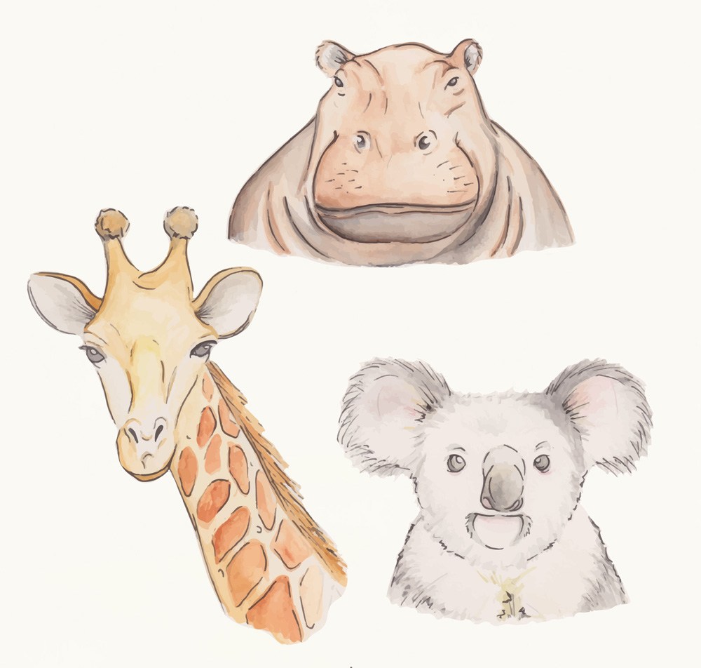 3款彩绘野生动物头像矢量素材小浣熊