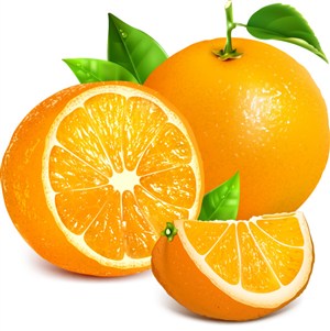 矢量水果橙素材