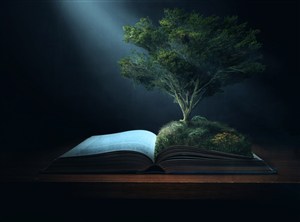 书本上的大树创意概念高清图片